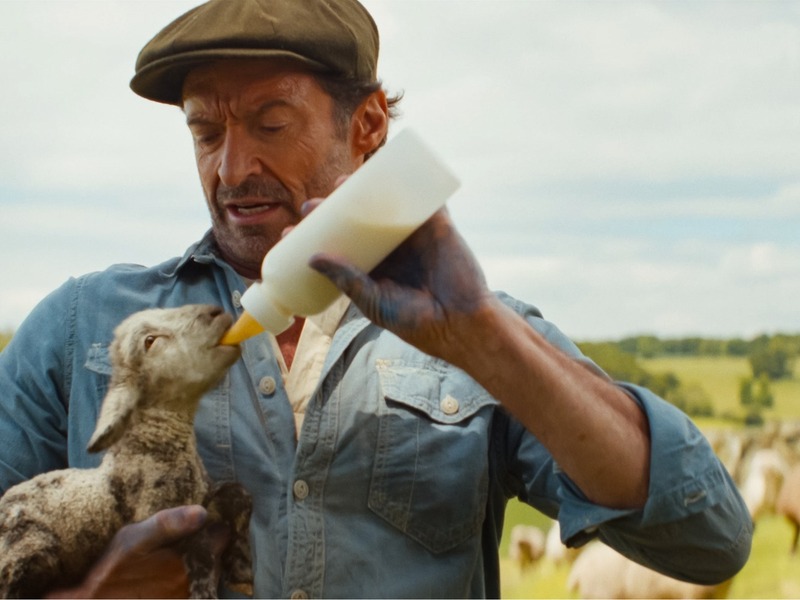 Slika - OVCE DETEKTIVI