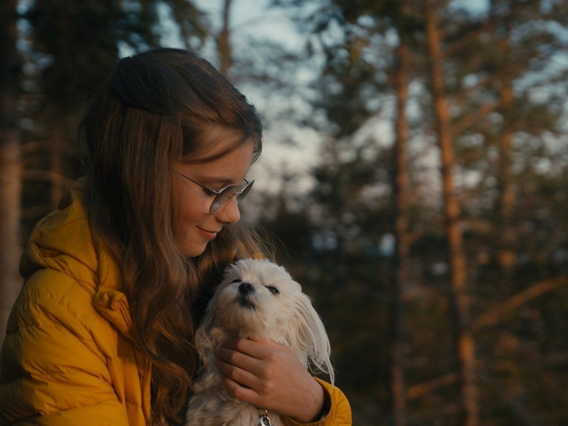 Slika - Mali psi glasno laju