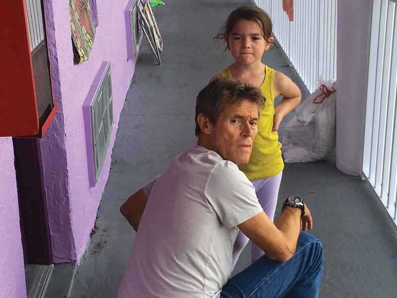 Slika - Projekt Florida