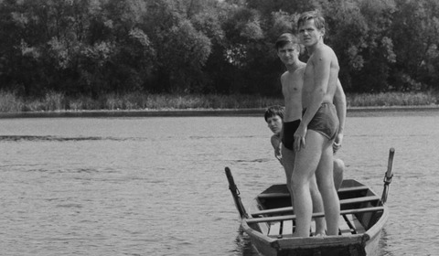 Filmski život i život uz film kako ga zamišlja Kino Valli: mali tjedan velikih filmskih naslova