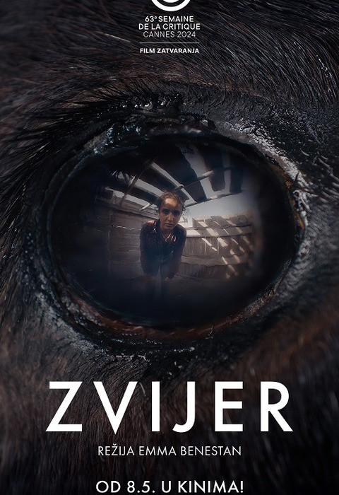 Zvijer