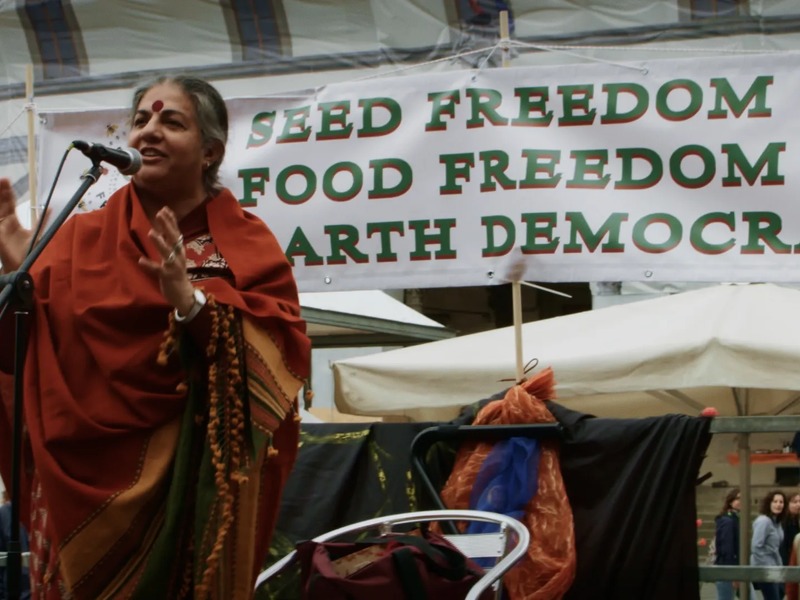 Slika - Sjeme Vandane Shive