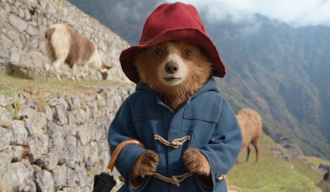 David Lynch, Kino 15+ i „Medvjedić Paddington u džungli“