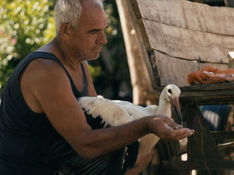 Slika - Priča o Siljanu