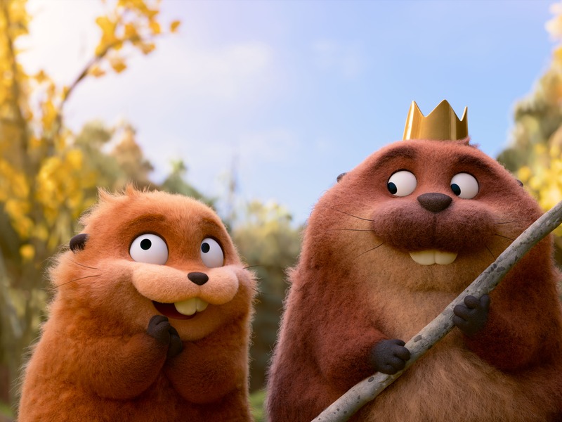 Slika - Skakutavci - SINK