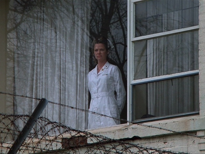 Slika - Let iznad kukavičjeg gnijezda