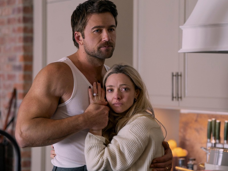 Slika - Kućna pomoćnica