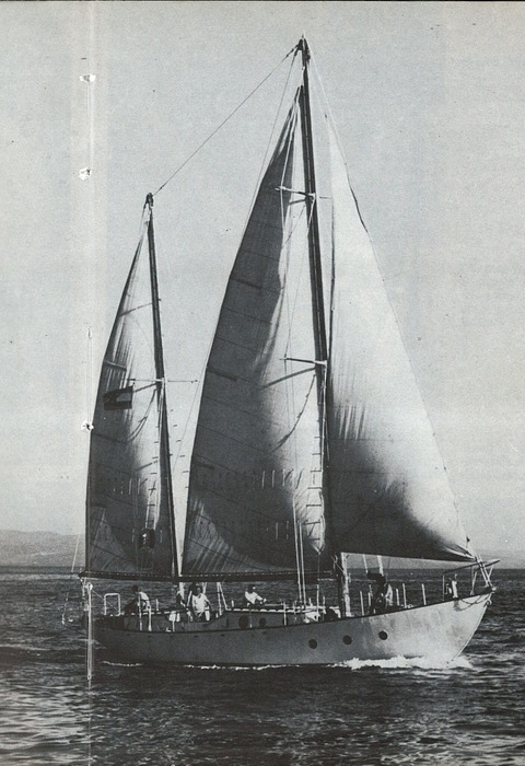 Jedrima oko svijeta: Besa zadana oceanima